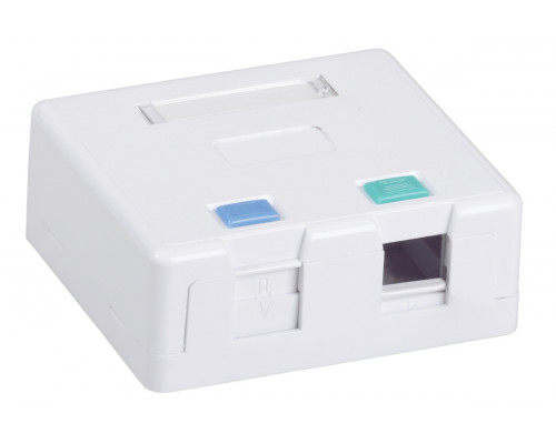 Розетка в сборе ITK, 2x RJ45(8P8C), кат. 5е, для настенного монтажа, упаковка: 1 шт, цвет: белый, (CS2-022)