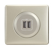 Розетка в сборе Legrand Valena, 2x USB (Type A-B), кат. 6, экр., внутренняя, 51х58 мм (ВхШ), цвет: алюминий, (LEG.770270)