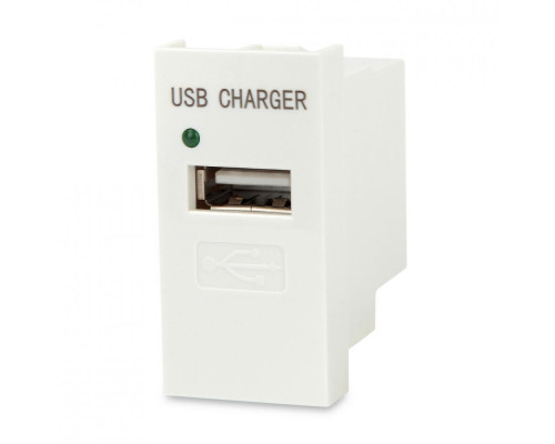 Розетка в сборе Hyperline, 1x USB, неэкр., внешняя, 22,5х45 мм (ВхШ), цвет: белый, (M45/2-USBCH1-WH)