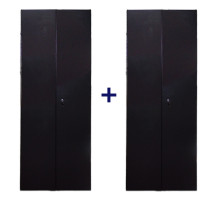 Дверь (к шкафу) TWT Business Advanced, 42U, 800 мм Ш, комплект 2 шт, для шкафов, передняя - металл, задняя - металл, цвет: чёрный