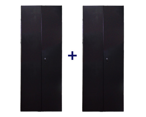 Дверь (к шкафу) TWT Business Advanced, 42U, 800 мм Ш, комплект 2 шт, для шкафов, передняя - металл, задняя - металл, цвет: чёрный