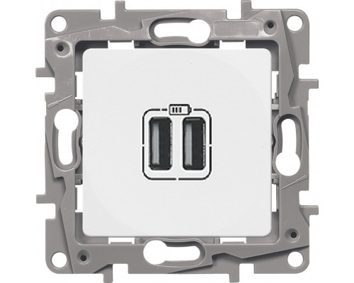 Розетка информационная Legrand Etika, 2x USB, цвет: белый, (LEG.672294)