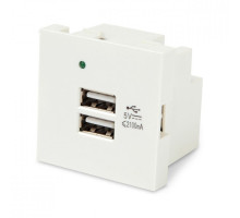 Розетка в сборе Hyperline, 2x USB, неэкр., внешняя, 45х45 мм (ВхШ), цвет: белый, (M45-USBCH2-WH)