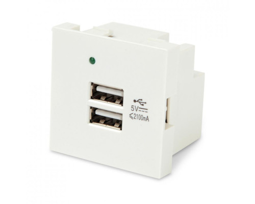Розетка в сборе Hyperline, 2x USB, неэкр., внешняя, 45х45 мм (ВхШ), цвет: белый, (M45-USBCH2-WH)