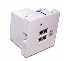 Розетка в сборе Lanmaster, 2x USB 2.0 (Type A), неэкр., 45х45 мм (ВхШ), цвет: белый, (LAN-EZ45x45-2U/R2-WH)