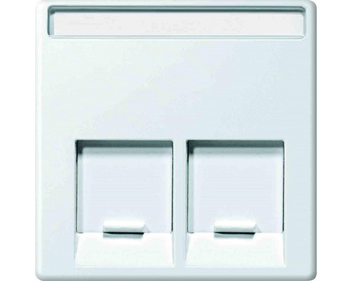 Лиц. панель розеточная Merten System M, 2х RJ45, плоская, внутренняя, цвет: активный белый, с полем для надписи (MTN469925)