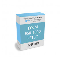 Лицензия (опция) ECCM-ESR-1000-FSTEC