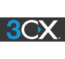 3CX Professional 12M124