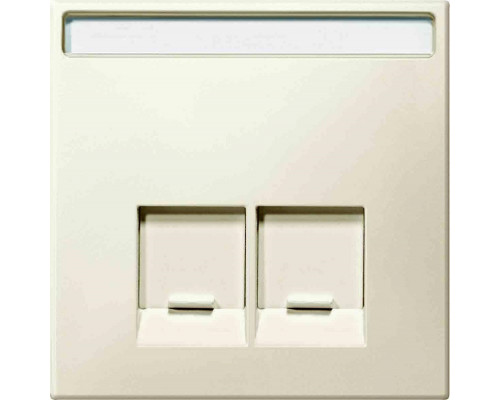 Лиц. панель розеточная Merten Antique/Artec, 2х RJ45, плоская, внутренняя, цвет: бежевый, с полем для надписи (MTN466644)