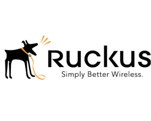 Лицензия Brocade/Ruckus BR-ICX-7150-210U410R-P-01