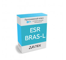 Лицензия (опция) ESR-BRAS-L на ПО для ESR