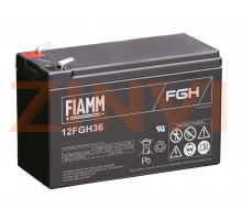 FIAMM 12FGH36 (FGH20902)