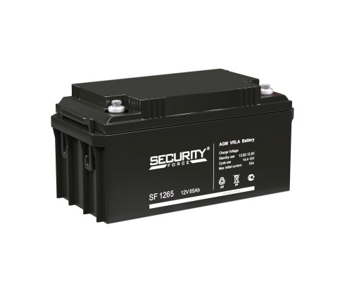 Аккумулятор Delta Battery SF, 174х167х350 мм (ВхШхГ) 12V/65 Ач, цвет: чёрный, (SF 1265)