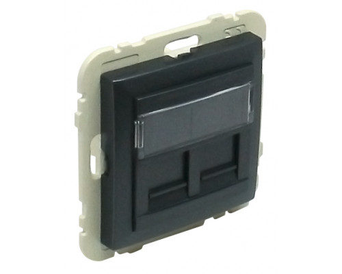 Лиц. панель розеточная Efapel Logus90, 2х RJ45, плоская, шторки, цвет: тёмно-серый (90442 SIS)