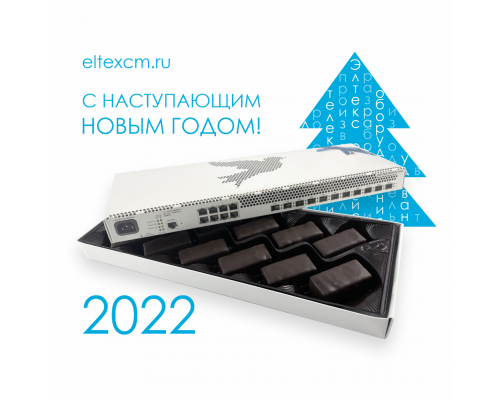 MES2411X Eltex Choco | С наступающим Новым годом!