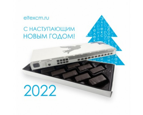 MES2411X Eltex Choco | С наступающим Новым годом!