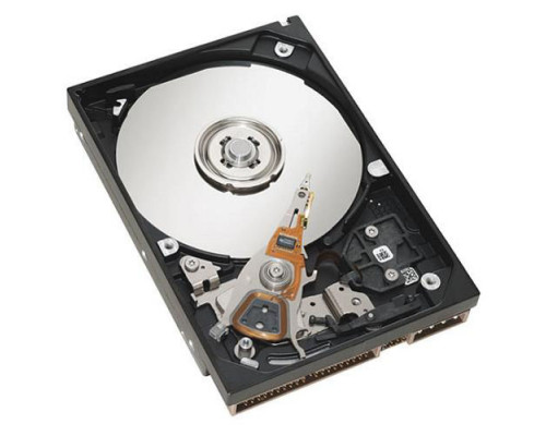Жесткий диск IBM 1TB, 7,2k, 6Gb, hot plug 3.5" SAS, 49Y1876