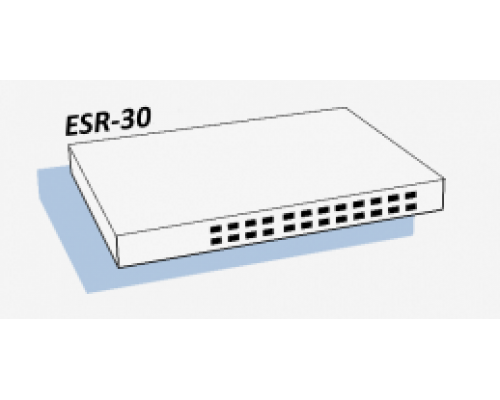 ESR-30 Сервисный маршрутизатор