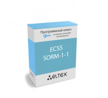Лицензия (опция) ECSS-SORM-1-1