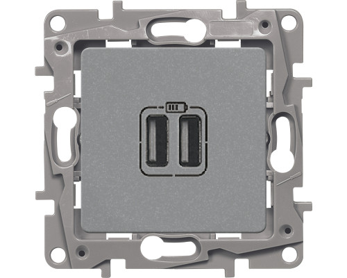 Розетка информационная Legrand Etika, 2x USB, цвет: алюминий, (LEG.672494)