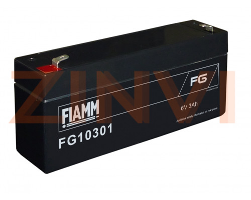 FIAMM FG 10301