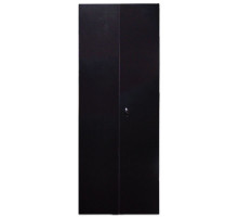 Дверь (к шкафу) TWT Business, 47U, 2277х800 мм (ВхШ), металл, для шкафов, двухсекционная распашная, цвет: чёрный