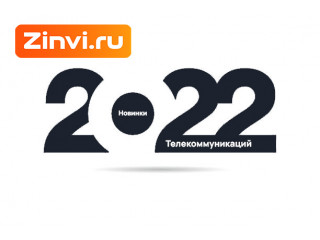 Инфографика Zinvi, лето 2022
